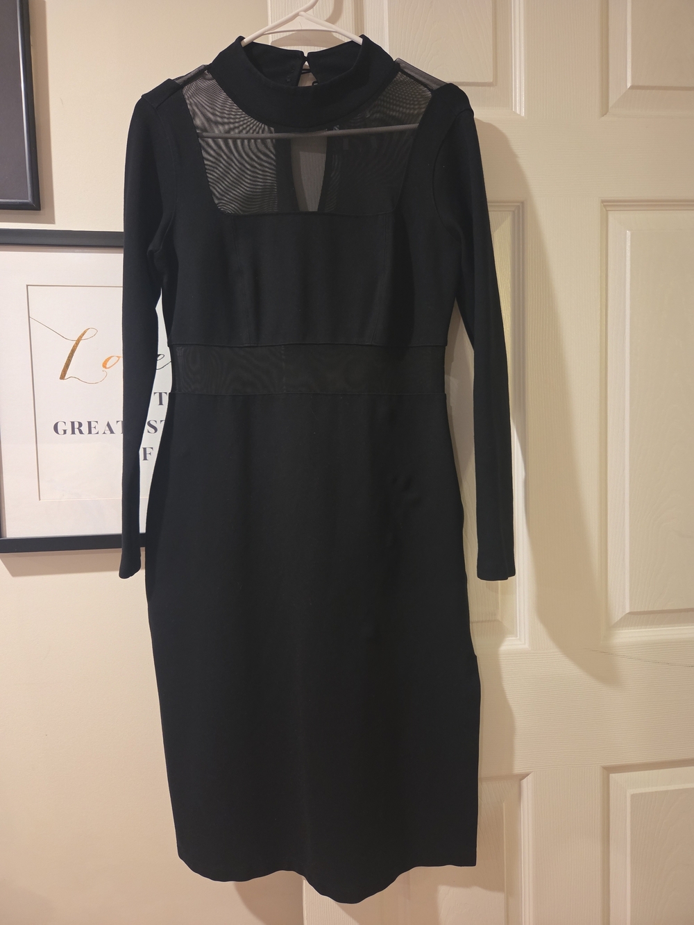Anthropologie Mesh Sheath Dress, Size M